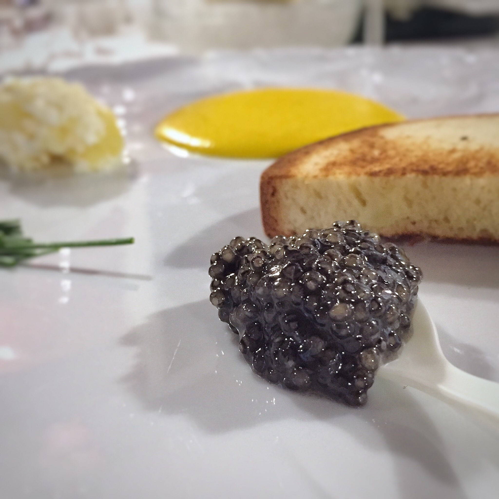Caviale e Storione nel Parco del Ticino con Ars Italica Caviar